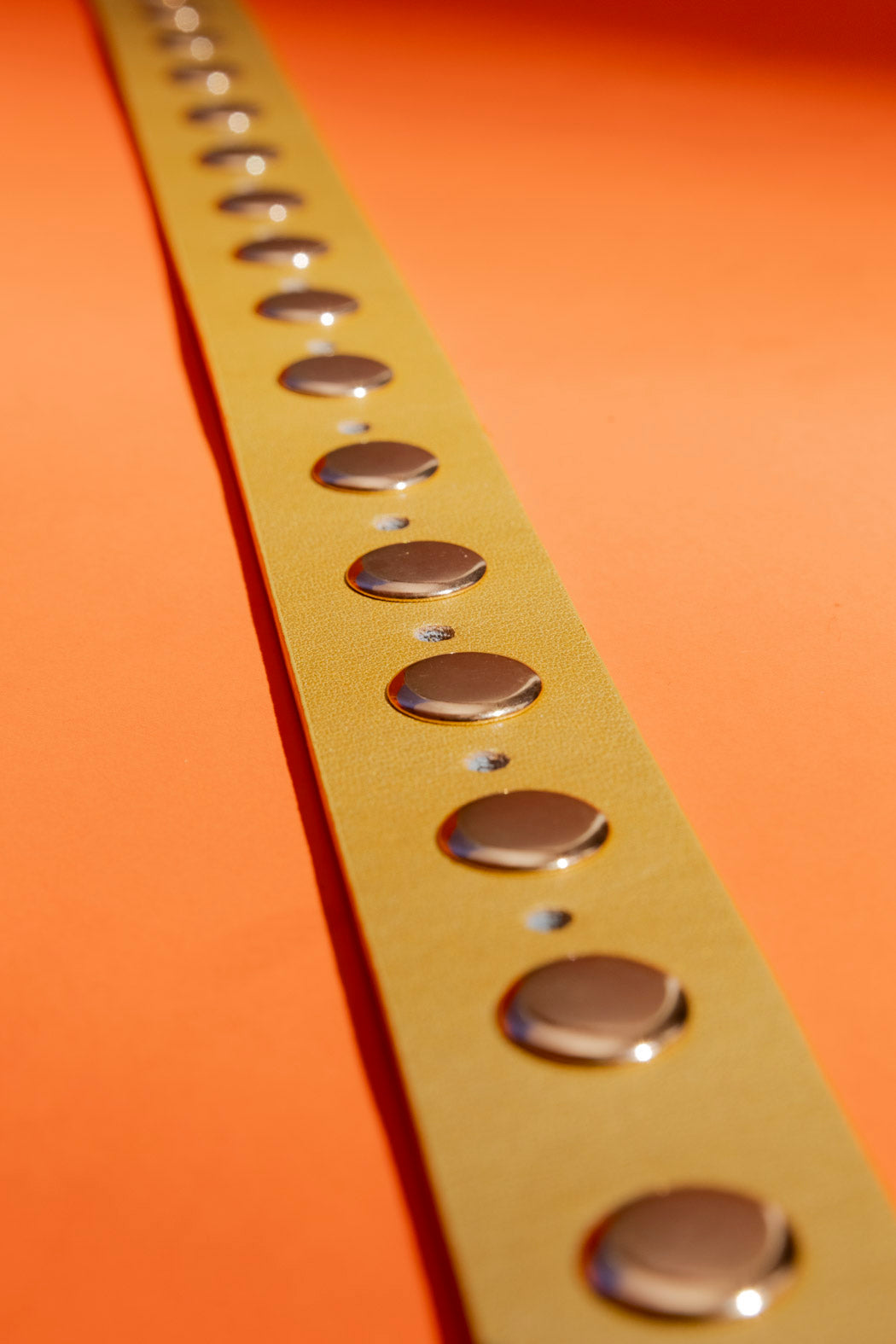 Gold Stud Belt
