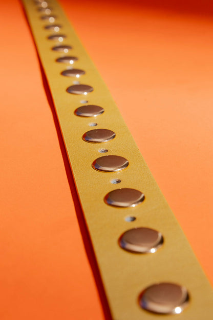 Gold Stud Belt